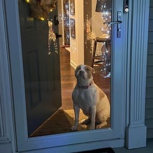 Meet your Posher, Dee